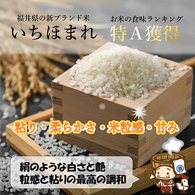 【毎月定期便】 いちほまれ 精米 5kg全6回
