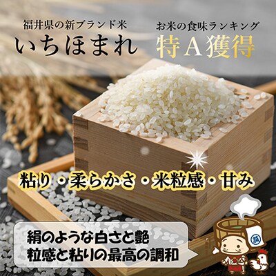 【毎月定期便】いちほまれ 無洗米 5kg全3回