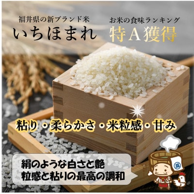 【毎月定期便】いちほまれ 無洗米 5kg×2袋 (計10kg)全3回