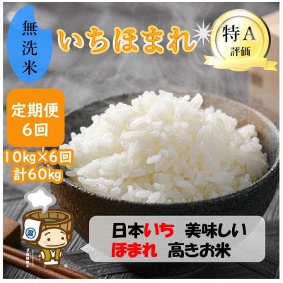【毎月定期便】いちほまれ 無洗米 5kg×2袋(計10kg)全6回