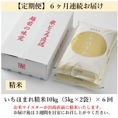 【毎月定期便】いちほまれ 精米 5kg×2袋(計10kg)全6回