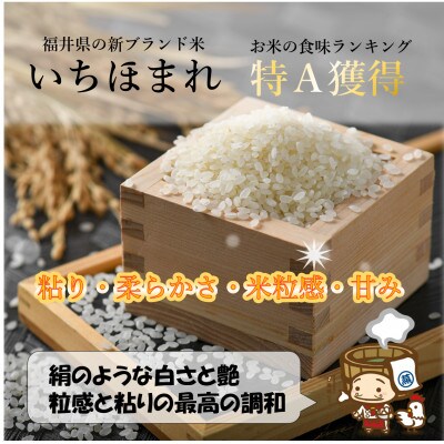 【毎月定期便】いちほまれ 精米 2kg×3袋(計6kg)全3回