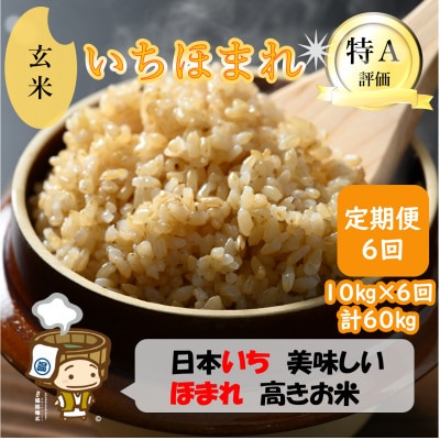 【毎月定期便】いちほまれ 玄米 5kg×2袋(計10kg)全6回