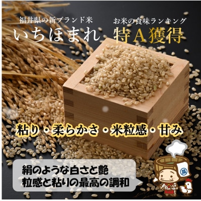 【毎月定期便】いちほまれ 玄米 5kg×2袋(計10kg)全6回