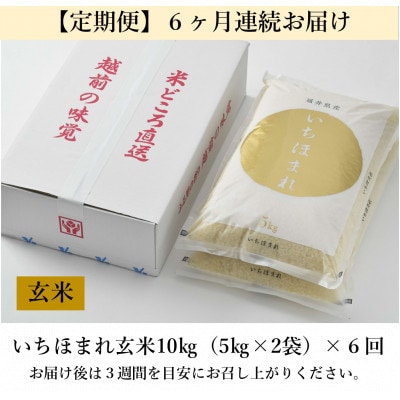 【毎月定期便】いちほまれ 玄米 5kg×2袋(計10kg)全6回