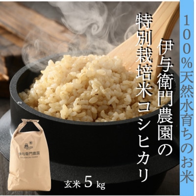 令和5年産】コシヒカリ 玄米 5kg 特別栽培米 栽培期間中農薬・除草剤