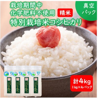 【令和5年産】栽培期間中化学肥料不使用コシヒカリ 精米 4kg(1kg×4パック)【真空パック】