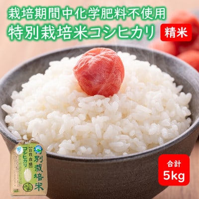 【令和5年産】 栽培期間中化学肥料不使用コシヒカリ  精米5kg(5kg×1袋)