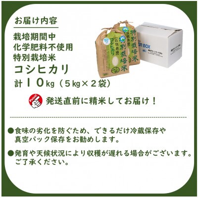 【令和5年産】 栽培期間中化学肥料不使用コシヒカリ  精米10kg(5kg×2袋)