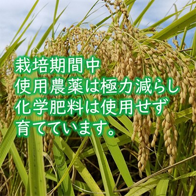 【毎月定期便】栽培期間中化学肥料不使用あきさかり 精米 5kg(5kg×1袋) 全6回