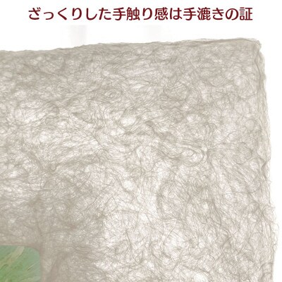 越前和紙を使った額縁と絵画「和紙ック(小)」フェルメール「真珠の耳飾りの少女」AWATABE
