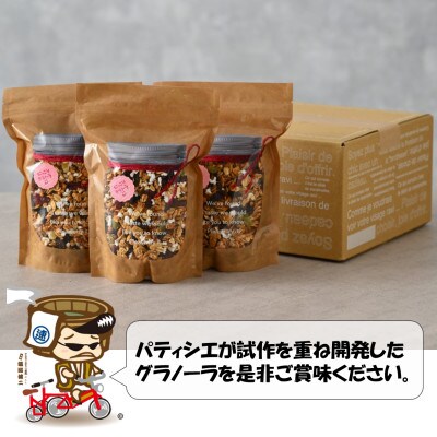自家製 フルーツグラノーラ 300g×3袋(計900g)《配合や素材にこだわり1つ1つ手作り!》