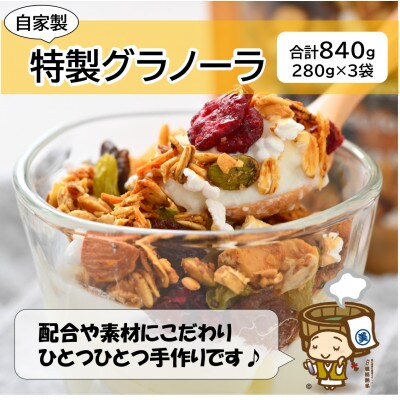 自家製 フルーツグラノーラ 280g×3袋(計840g)《配合や素材にこだわり1つ1つ手作り!》