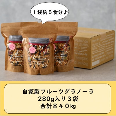 自家製 フルーツグラノーラ 280g×3袋(計840g)《配合や素材にこだわり1つ1つ手作り!》