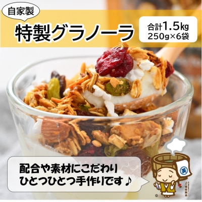 自家製 フルーツグラノーラ 250g×6袋(計1.5kg)《配合や素材にこだわり1つ1つ手作り!》