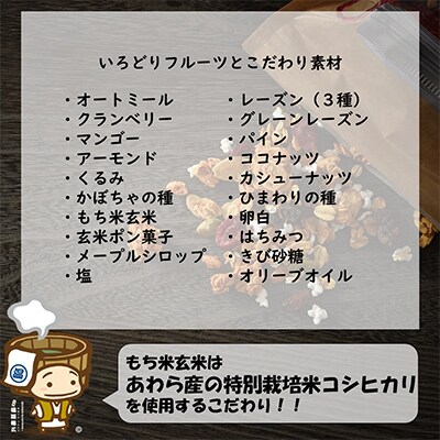 【毎月定期便】  自家製 フルーツグラノーラ 280g×3袋全3回