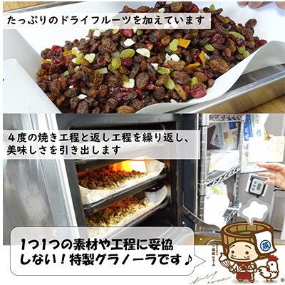 【毎月定期便】  自家製 フルーツグラノーラ 280g×3袋全3回