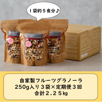 【毎月定期便】自家製 フルーツグラノーラ 250g×3袋 750g(計2.25kg)全3回