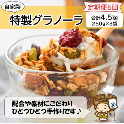 【毎月定期便】自家製 フルーツグラノーラ 250g×3袋 750g(計4.5kg)全6回