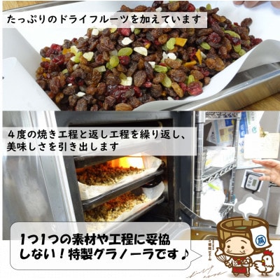 【毎月定期便】自家製 フルーツグラノーラ 250g×3袋 750g(計4.5kg)全6回