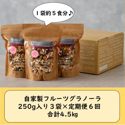 【毎月定期便】自家製 フルーツグラノーラ 250g×3袋 750g(計4.5kg)全6回