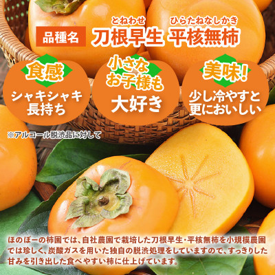 【訳あり】甘みすっきり!あわらのたねなし柿 約3.5kg(18個入)(ご家庭用)