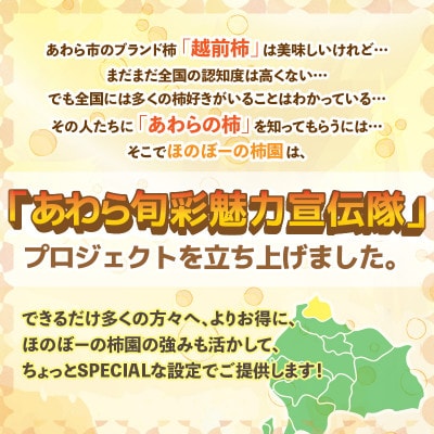 【訳あり】甘みすっきり!あわらのたねなし柿 約3.5kg(18個入)(ご家庭用)