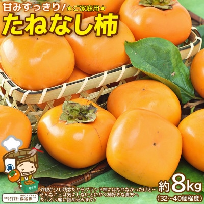 【訳あり】 甘みすっきり!あわらのたねなし柿 約8kg(32個～40個)(ご家庭用)