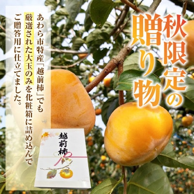 【ご贈答用】秋の味覚を贈り物に!厳選「越前柿」大玉 9個