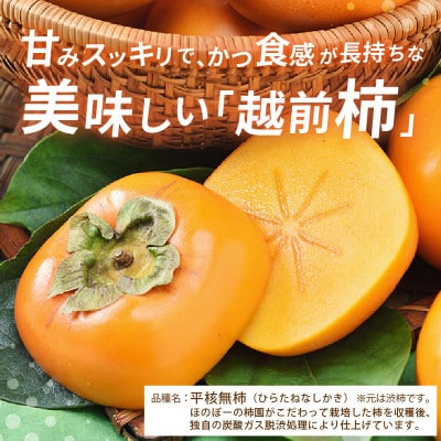 【ご贈答用】秋の味覚を贈り物に!厳選「越前柿」大玉 9個