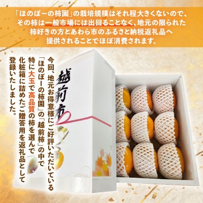 【ご贈答用】秋の味覚を贈り物に!厳選「越前柿」大玉 9個