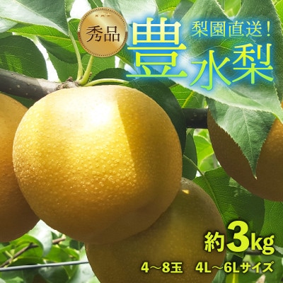 【先行予約】上野梨園の豊水梨 4〜8玉入 約3kg 4L～6L【秀品】《数量限定》梨園直送!