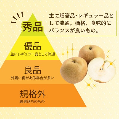 【先行予約】上野梨園の豊水梨 4〜8玉入 約3kg 4L～6L【秀品】《数量限定》梨園直送!