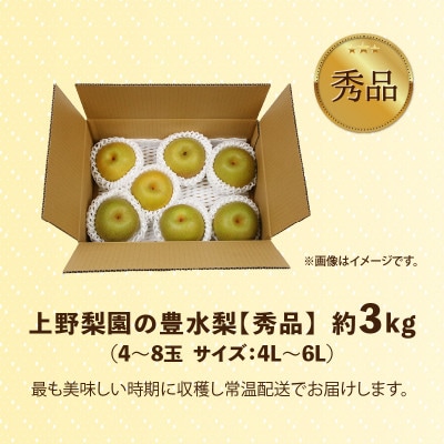 【先行予約】上野梨園の豊水梨 4〜8玉入 約3kg 4L～6L【秀品】《数量限定》梨園直送!