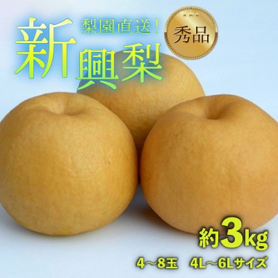 【先行予約】上野梨園の新興梨 4～8玉入 約3kg 4L～6L【秀品】《数量限定》梨園直送!