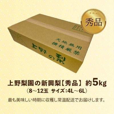 【先行予約】上野梨園の新興梨 8～12玉入 約5kg 4L～6L【秀品】《数量限定》梨園直送!