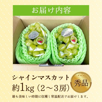 【先行予約】上野梨園のシャインマスカット 約1kg【朝採れ】【秀品】【種なし】農園直送