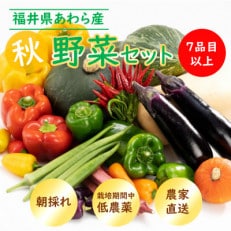 農家直送 秋野菜セット 1箱 7品目以上 《元気に育った新鮮野菜!》