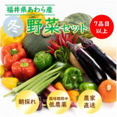 農家直送 冬野菜セット 1箱 7品目以上 《元気に育った新鮮野菜!》