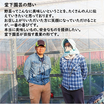 【毎月定期便】 農家直送 旬の野菜セット 7品目以上全12回
