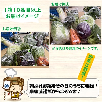 【毎月定期便】 農家直送 旬の野菜セット 10品目以上全12回