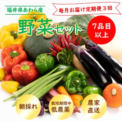 【毎月定期便】農家直送 旬の野菜セット 7品目以上全3回
