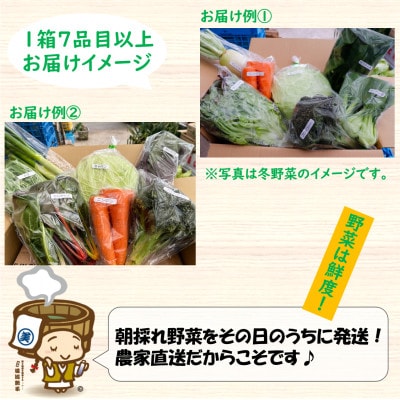 【毎月定期便】農家直送 旬の野菜セット 7品目以上全3回