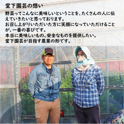 【毎月定期便】農家直送 旬の野菜セット 7品目以上全3回