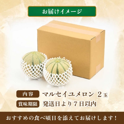 【先行予約】マルセイユメロン 2玉 約2.6kg以上(約1.3kg以上×2玉)大人気の赤肉品種!