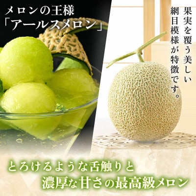 【先行予約】秋 アールスメロン 1玉(約1.6kg以上)青肉品種 高級メロン!