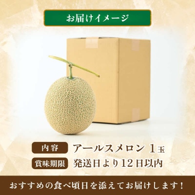 【先行予約】秋 アールスメロン 1玉(約1.6kg以上)青肉品種 高級メロン!