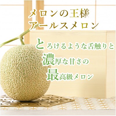 【先行受付】秋 アールスメロン 2玉 (1.7kg以上×2玉)青肉品種 高級メロン!