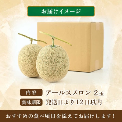 【先行予約】秋 アールスメロン 2玉(約1.6kg以上×2玉)青肉品種 高級メロン!