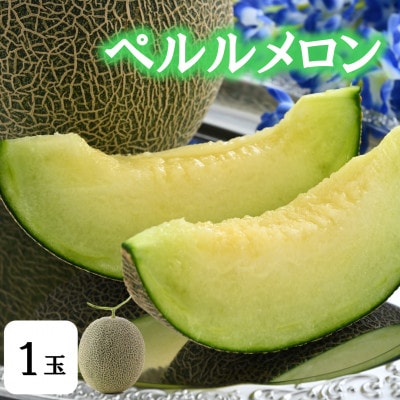 【先行予約】ペルルメロン 1玉(約2kg以上)青肉品種 高級メロン
